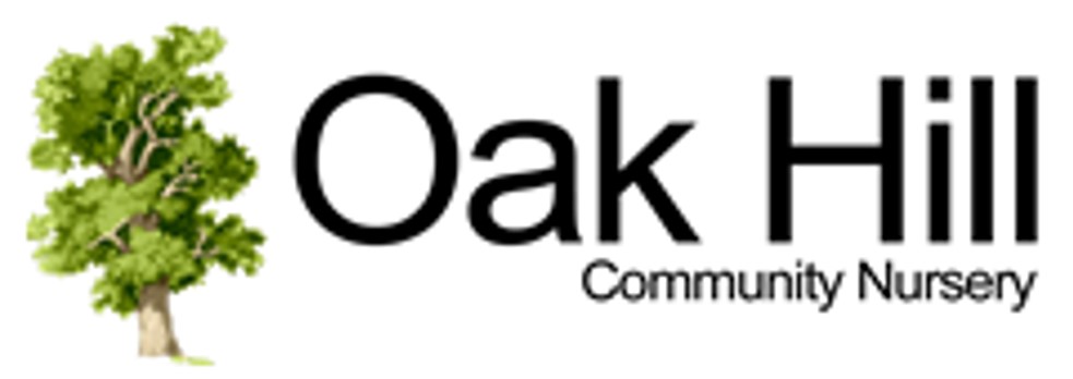 Oak Hill Logo name and tree